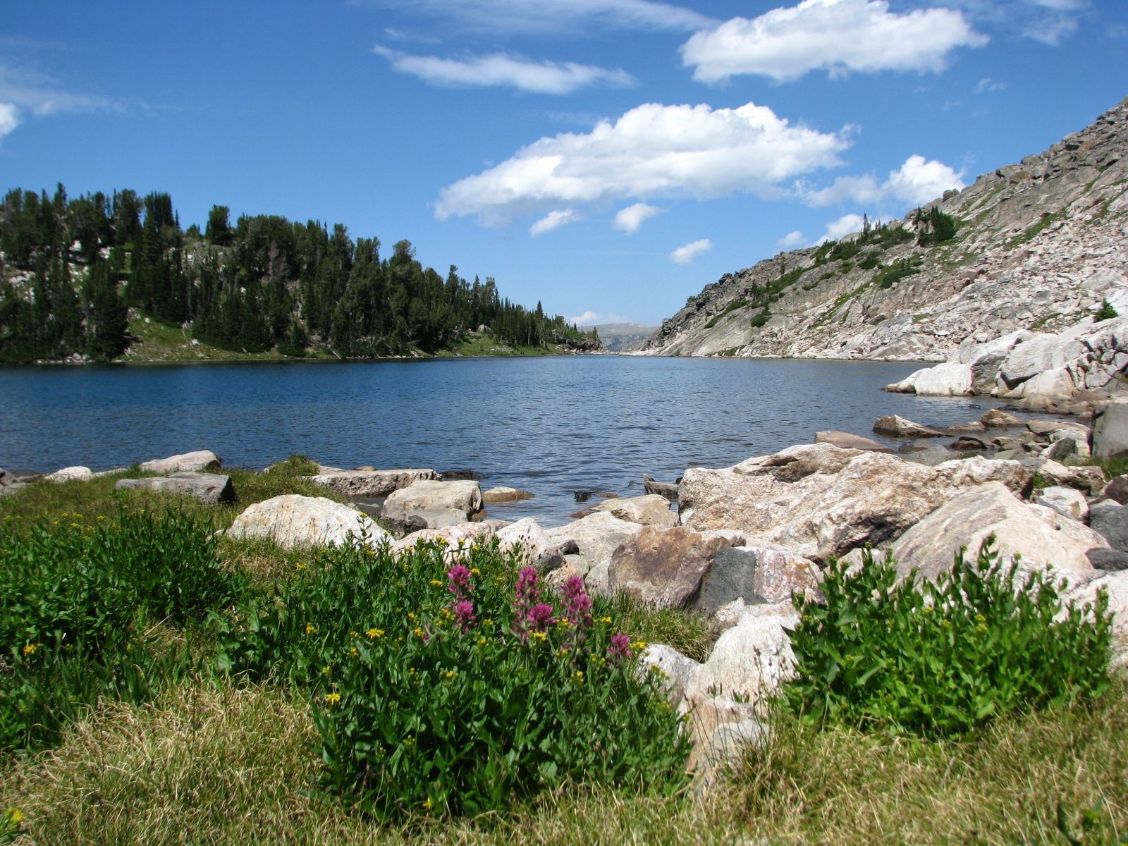 Absaroka Wilderness Gallery Image