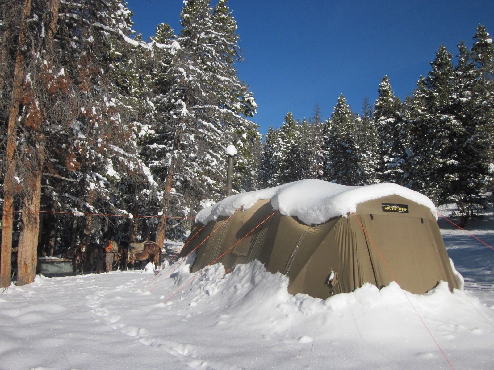 Made to survive snowloads