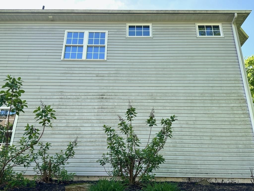 Side of a house with light-colored siding, two windows, and bushes in front; appears dirty and in need of cleaning.