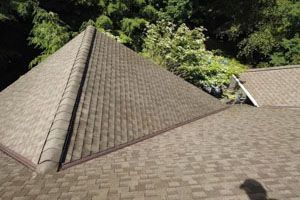 Brown shingle roof with a ridge, set against a backdrop of green trees.