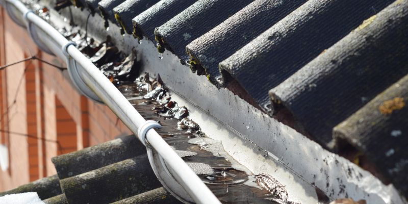Close-up of a rain gutter filled with leaves and debris, next to a slate roof.
