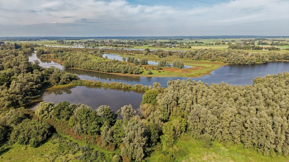 Vennen in Friesland