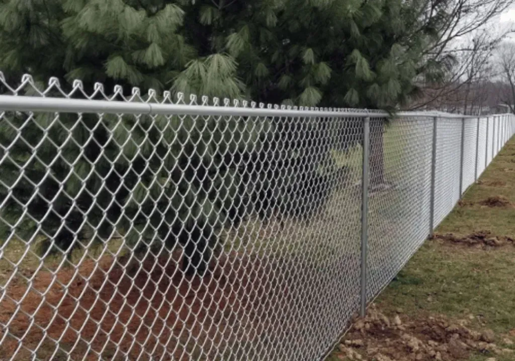 Silver chain link fence alongside a grassy area, with trees in the background.