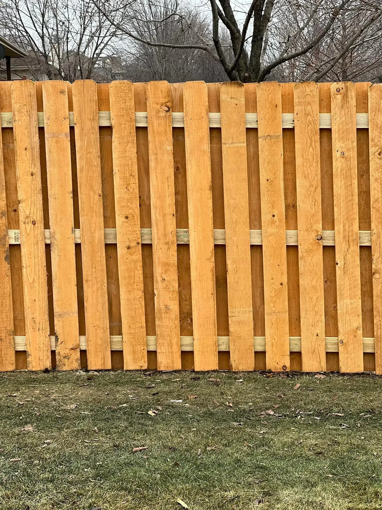 Wooden fence with vertical, light brown planks and horizontal supports in a grassy yard.