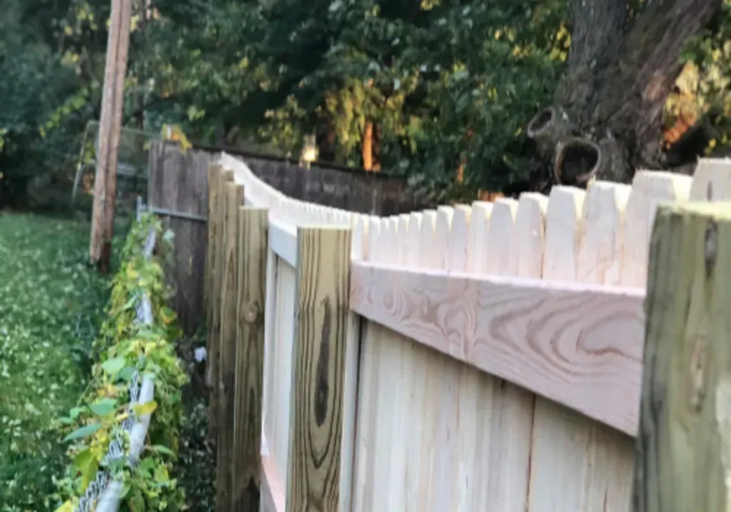 Wooden picket fence with a curved top in a yard with greenery and a tree.