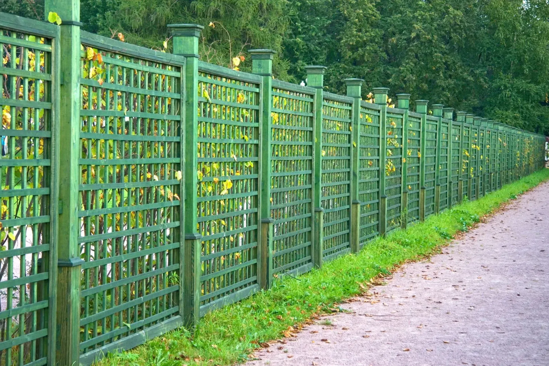 Green lattice fence alongside a stone path with grass, trees in background.