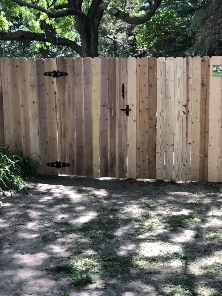 Wooden fence with gate, metal hardware, in a yard with shade.