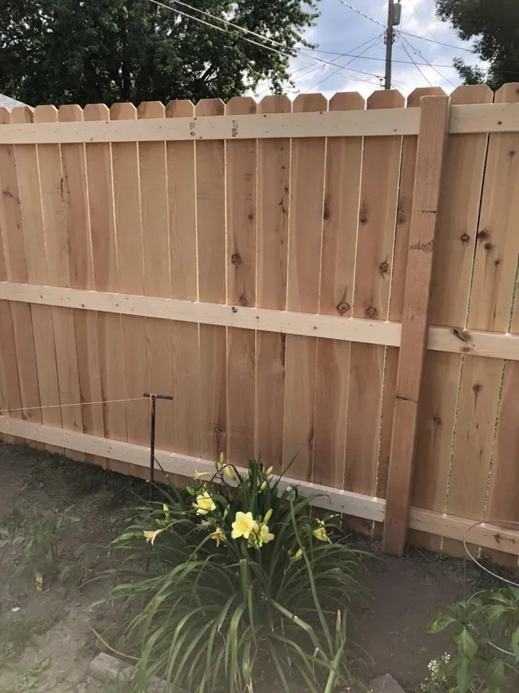 Wooden fence with a row of yellow flowers in front of it.