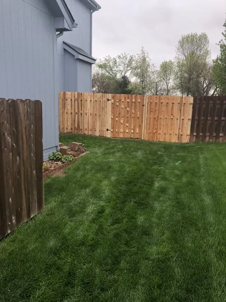 Lush green backyard with three wooden fences of different styles. Light blue house on left. Overcast day.