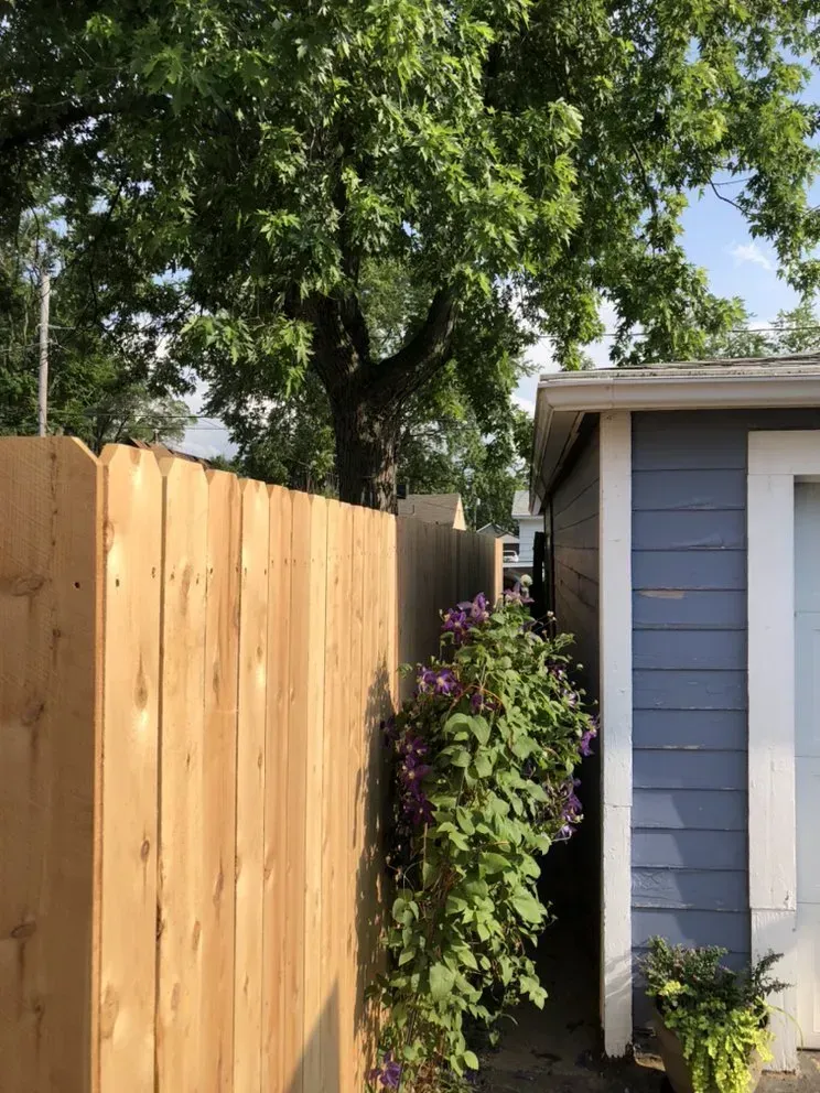 Wooden fence next to a blue building with a tree and hanging purple flowers.