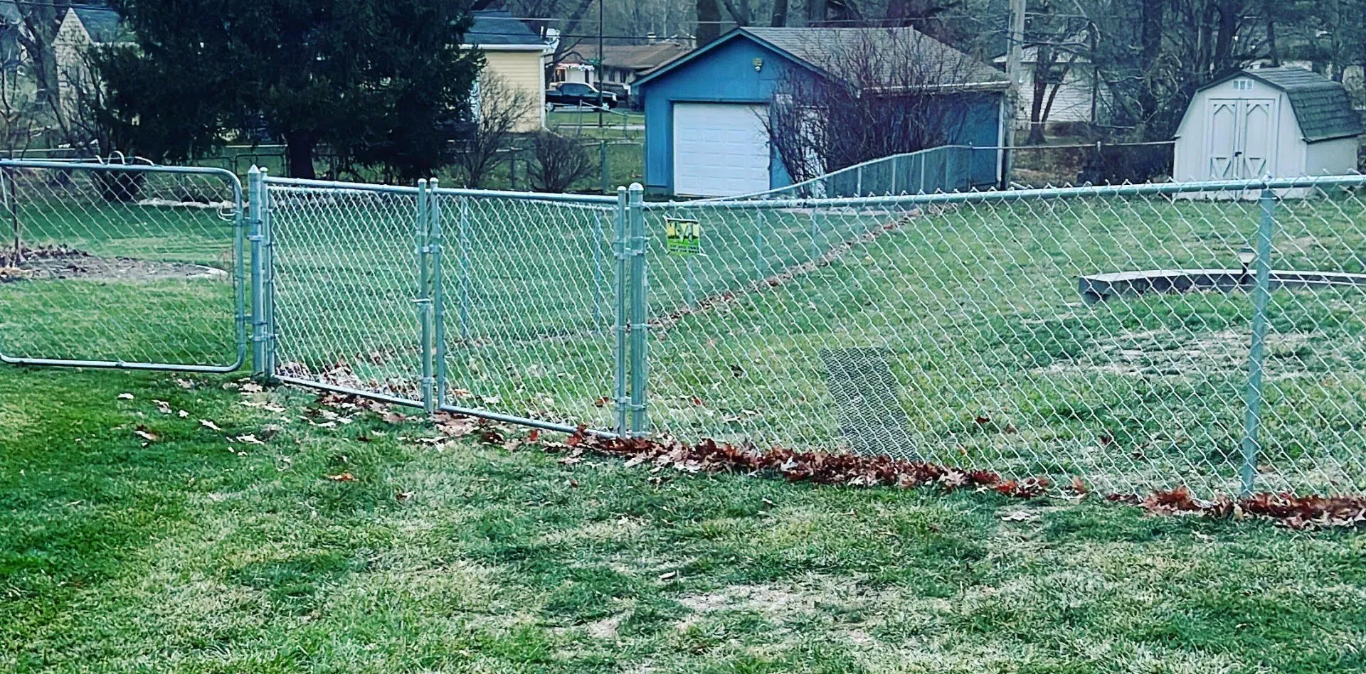 Chain link fence in a grassy yard, with a blue shed and white shed in the background.