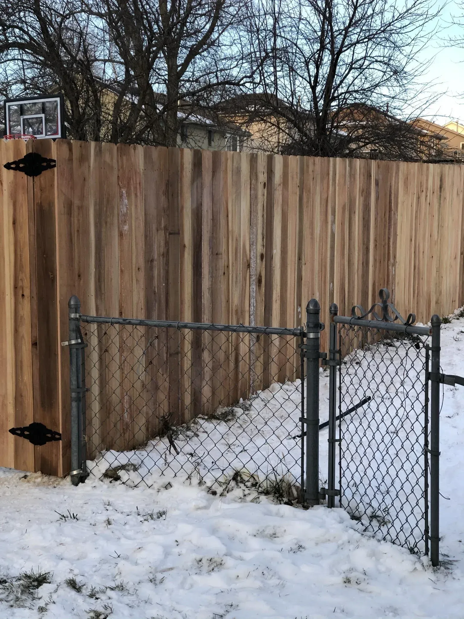 Chain link gate in snowy yard, leading to wooden fence with black hinges.