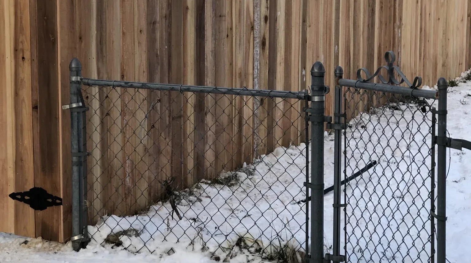 Chain-link fence with gate in front of snow-covered ground, set against a wooden fence.