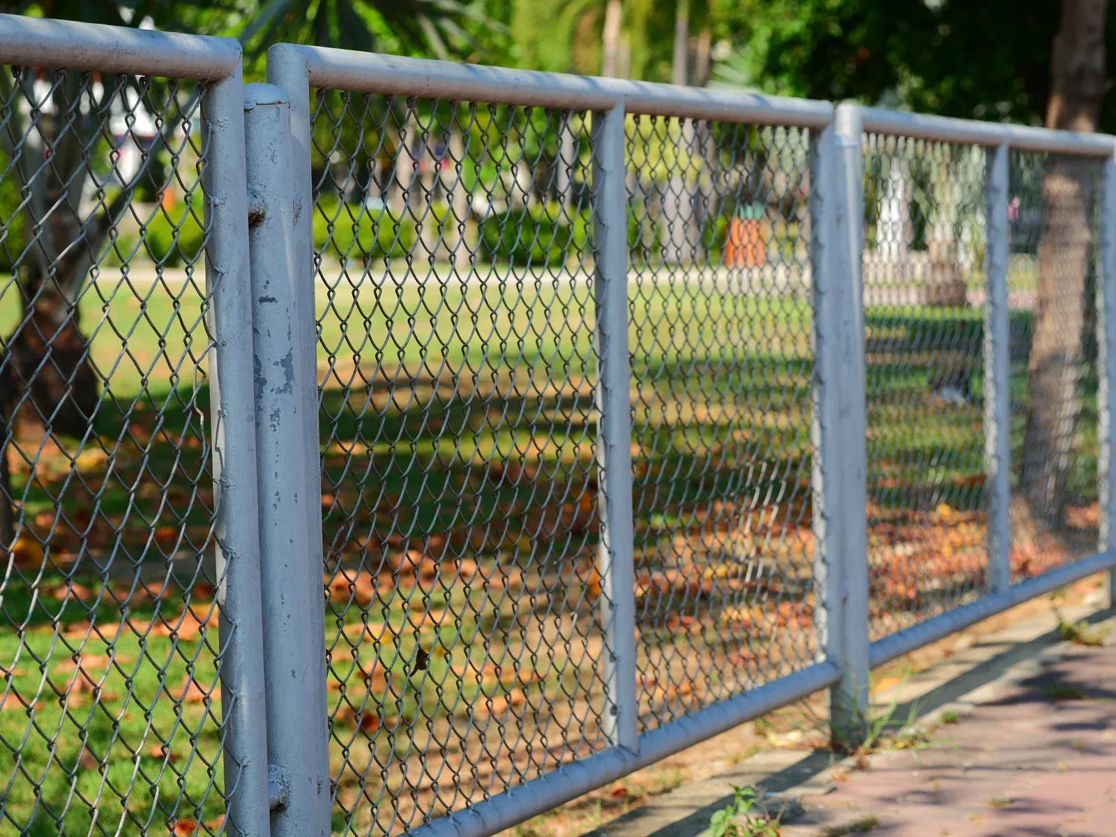 Metal chain-link fence, painted white, bordering a green grassy area.