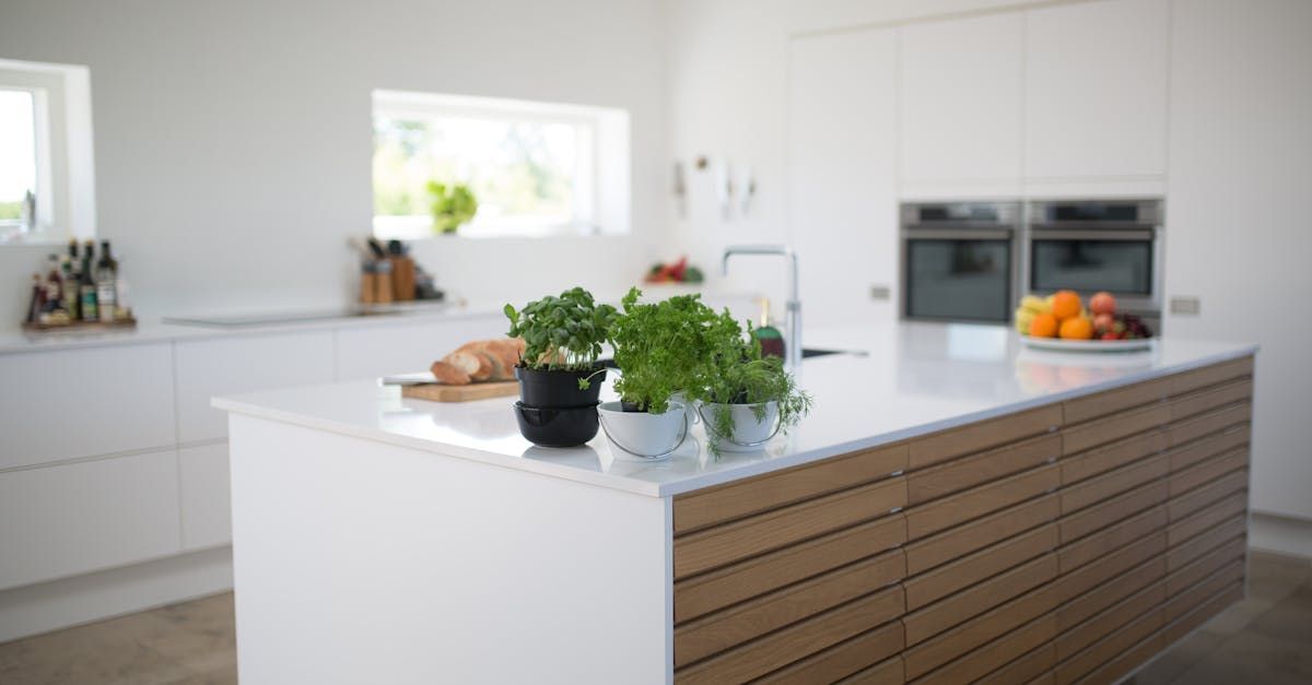 A kitchen with white cabinets and a wooden island with potted plants on it.