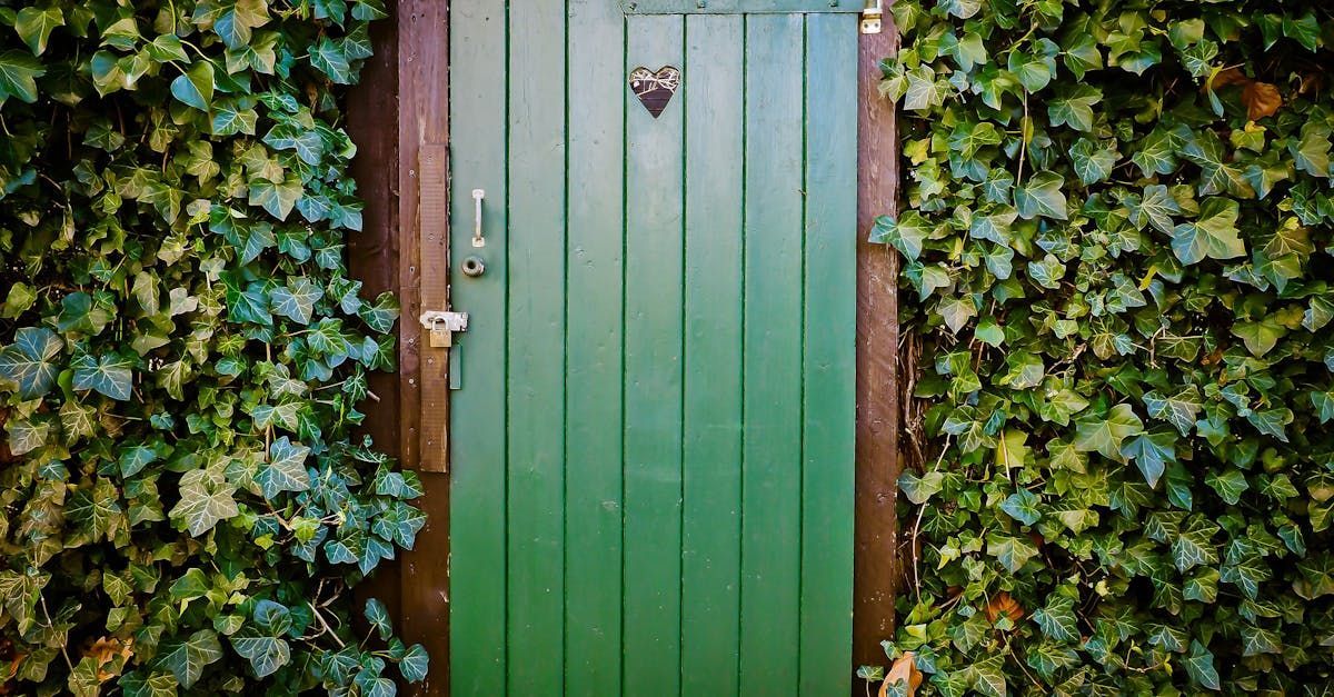 A green wooden door is surrounded by ivy.