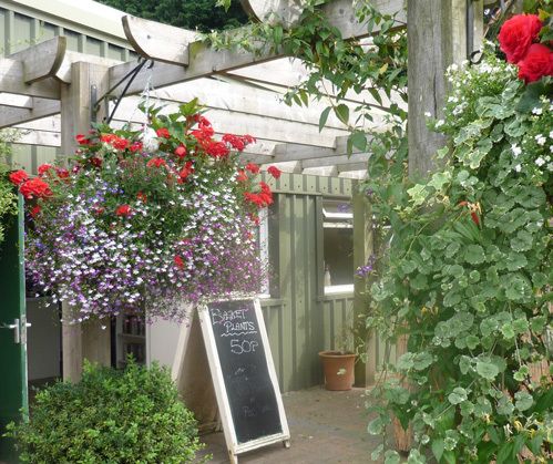 Traditional tea room entrance