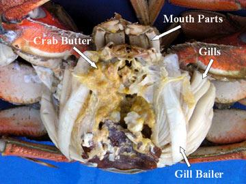 Crab Parts