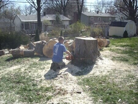 Man Removing Stump — Stump Removal in Raymore, MO