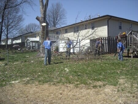 Men at Work — Mikes Tree Service in Raymore, MO