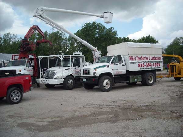 Trucks for Tree Cutting — Mikes Tree Service in Raymore, MO