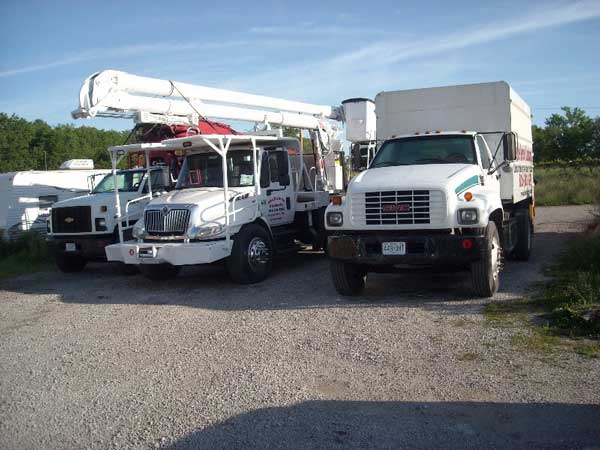 White Trucks — Mikes Tree Service in Raymore, MO