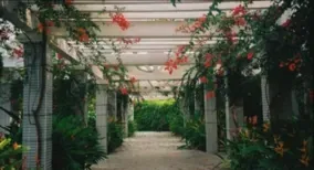 Pérgola bioclimática en un jardín grande en Castellón