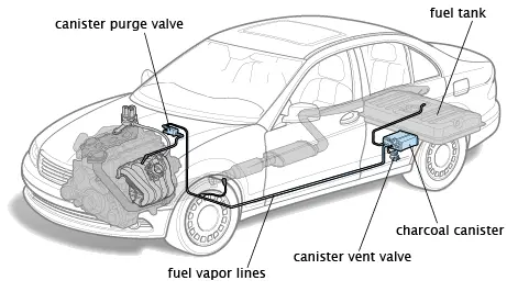 A diagram of a car showing the fuel tank and canister purge valve