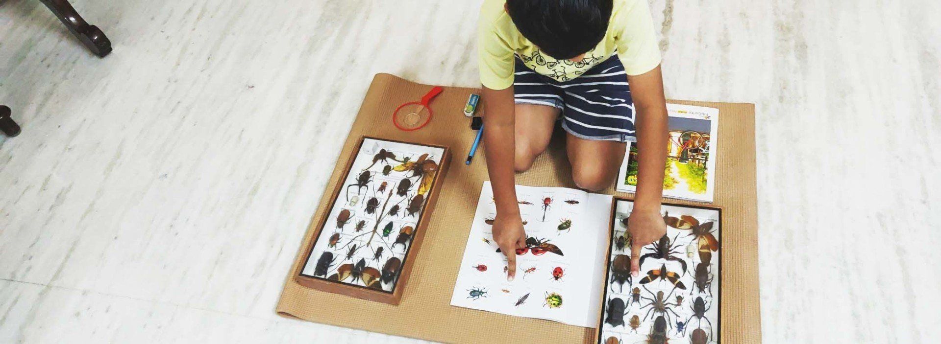 Kriya Montessori - Learn why Montessori for early years?