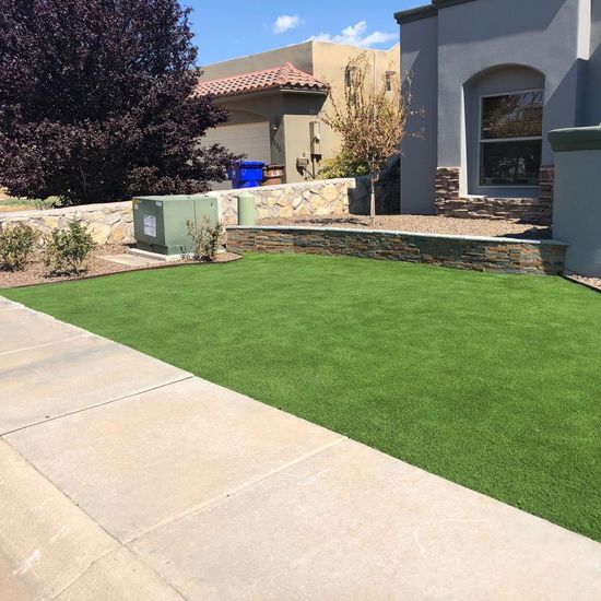 Clean Front Lawn — Las Cruces, NM — CN Landscaping