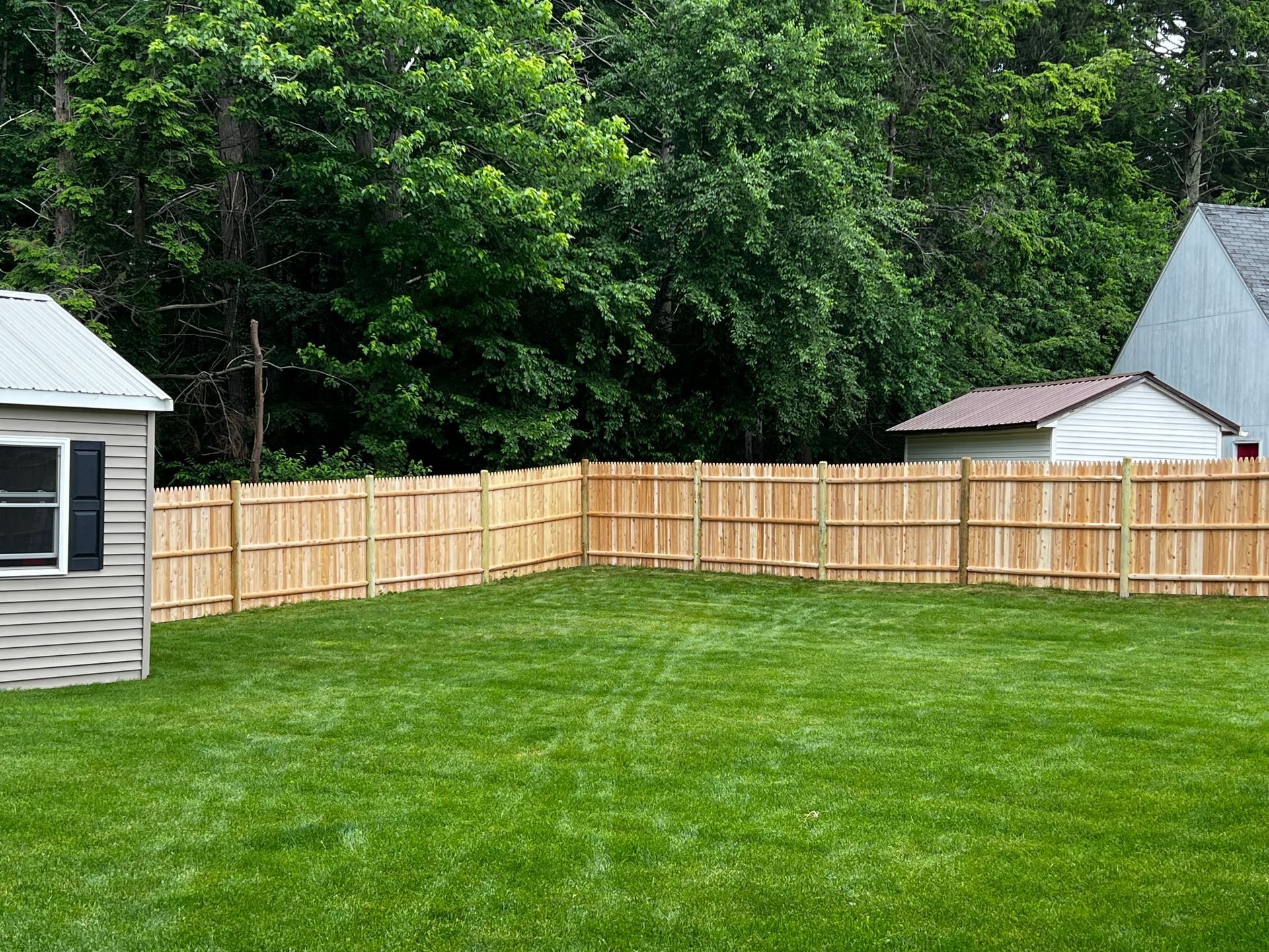 A fenced backyard with green grass, a small shed, and trees in the background.