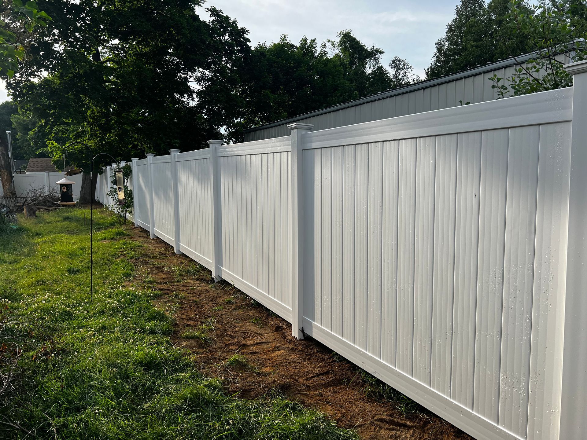 White vinyl fence alongside grassy area, trees in the background.