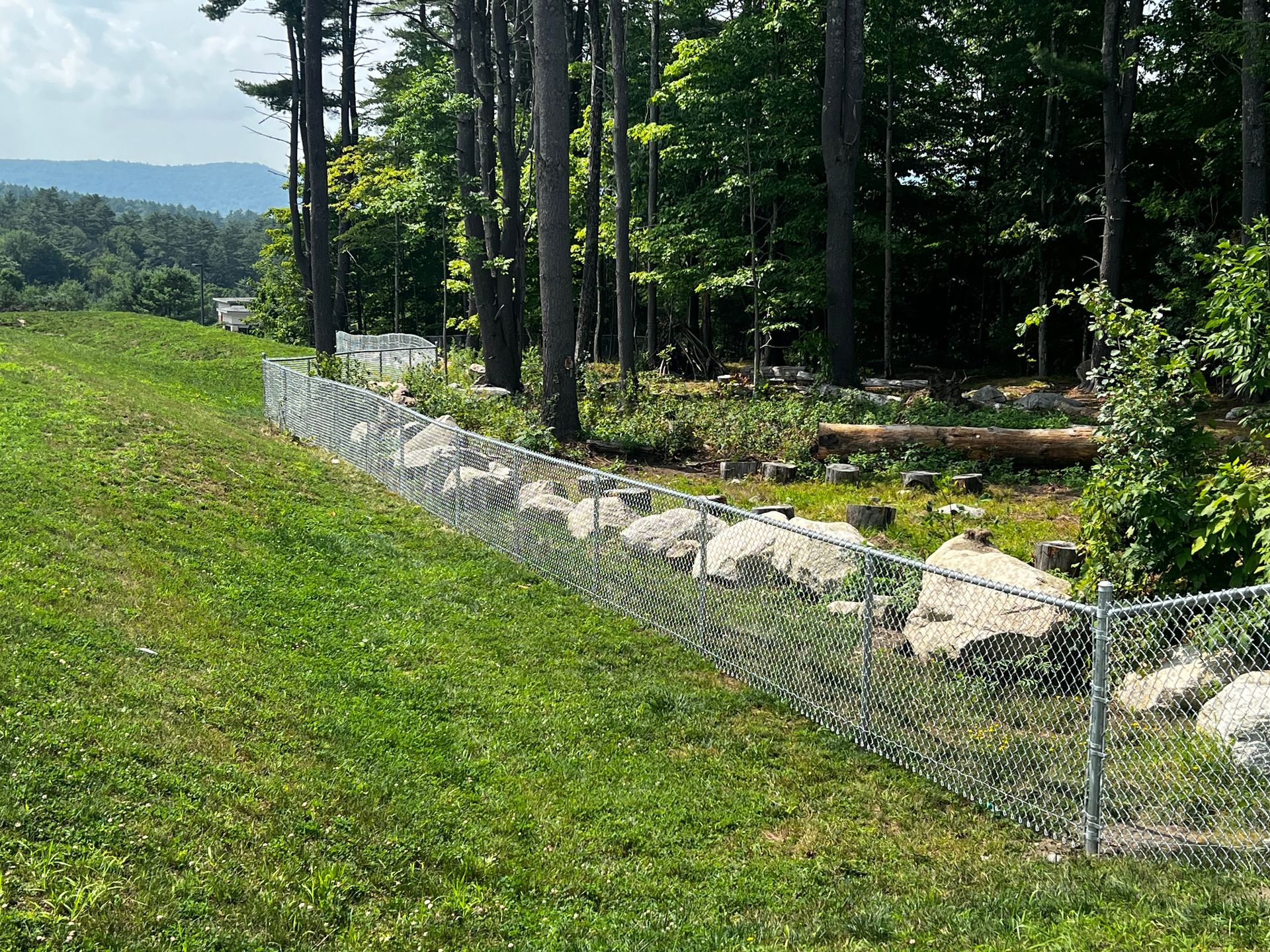 Grassy area with a chain-link fence bordering a wooded area, mountains in the distance.