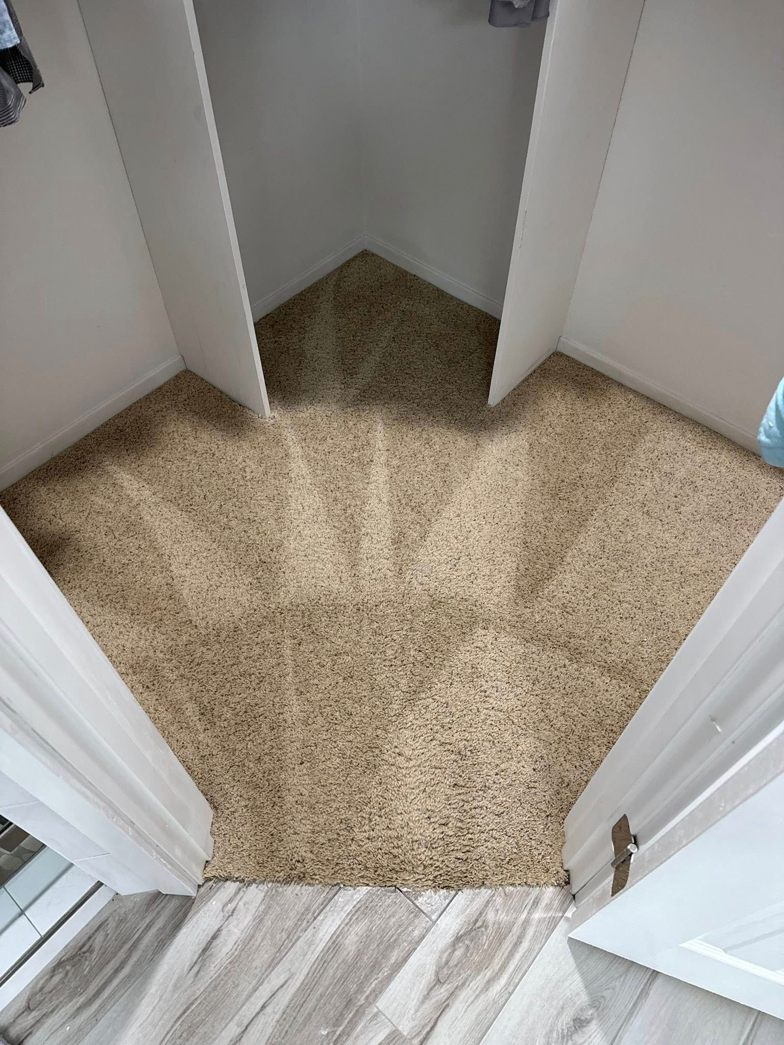 A corner of a closet with a carpeted floor and a wooden floor.