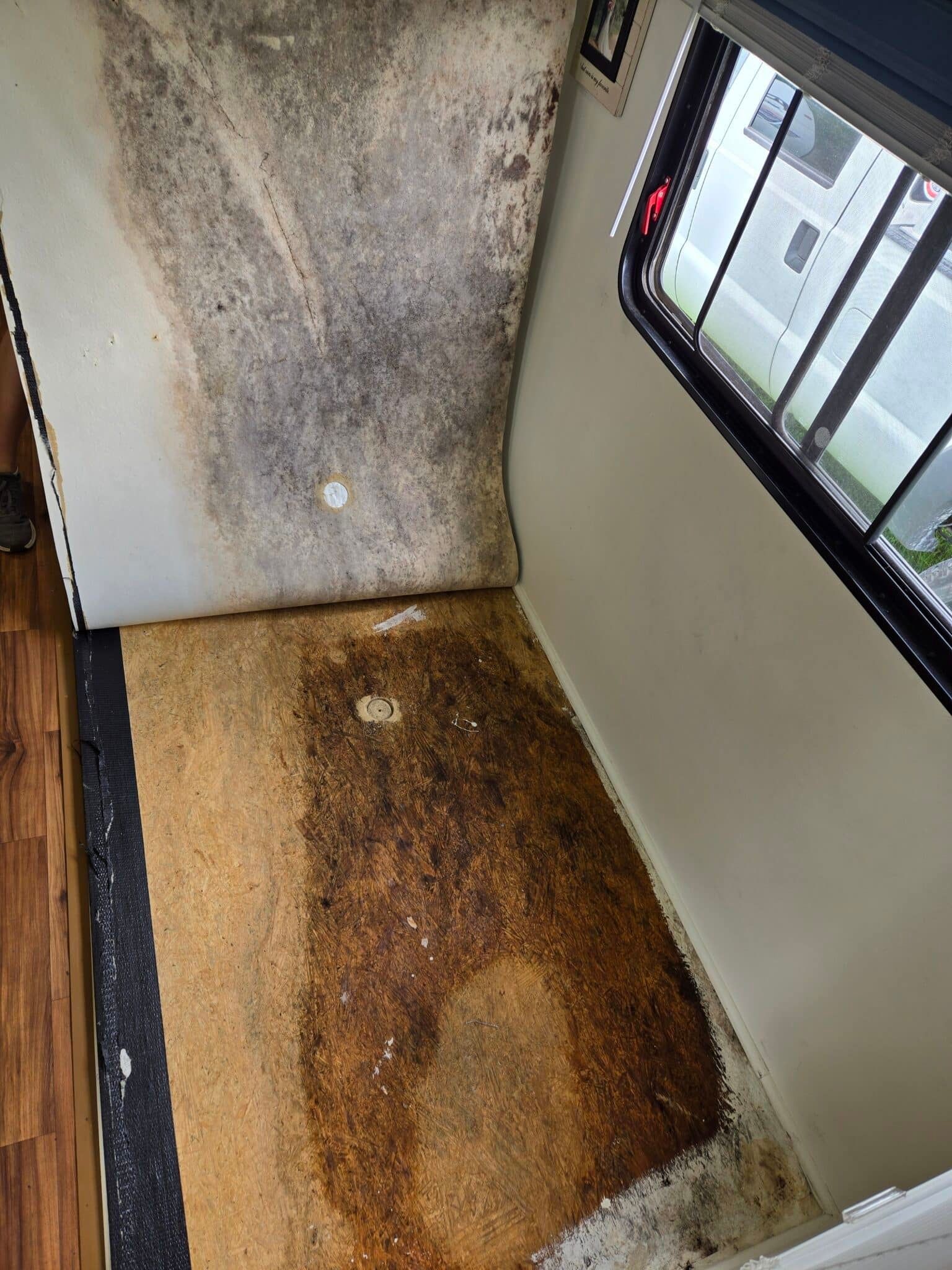 A room with a dirty carpet and a window.
