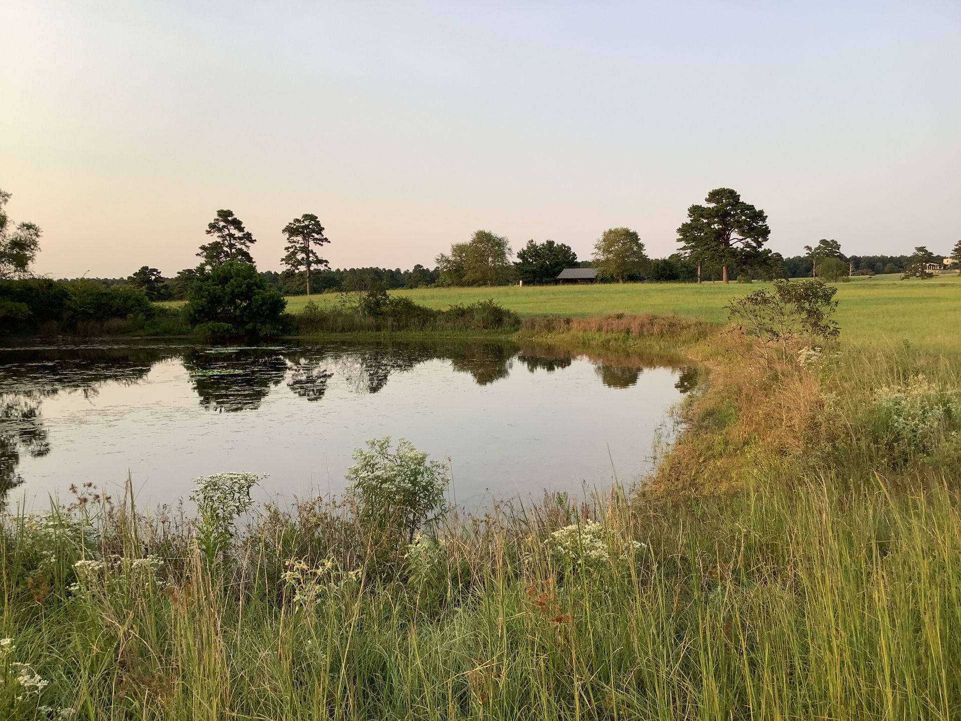 View of .5 acre pond