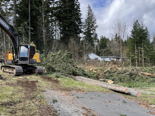 Logs piled from two days of land clearing