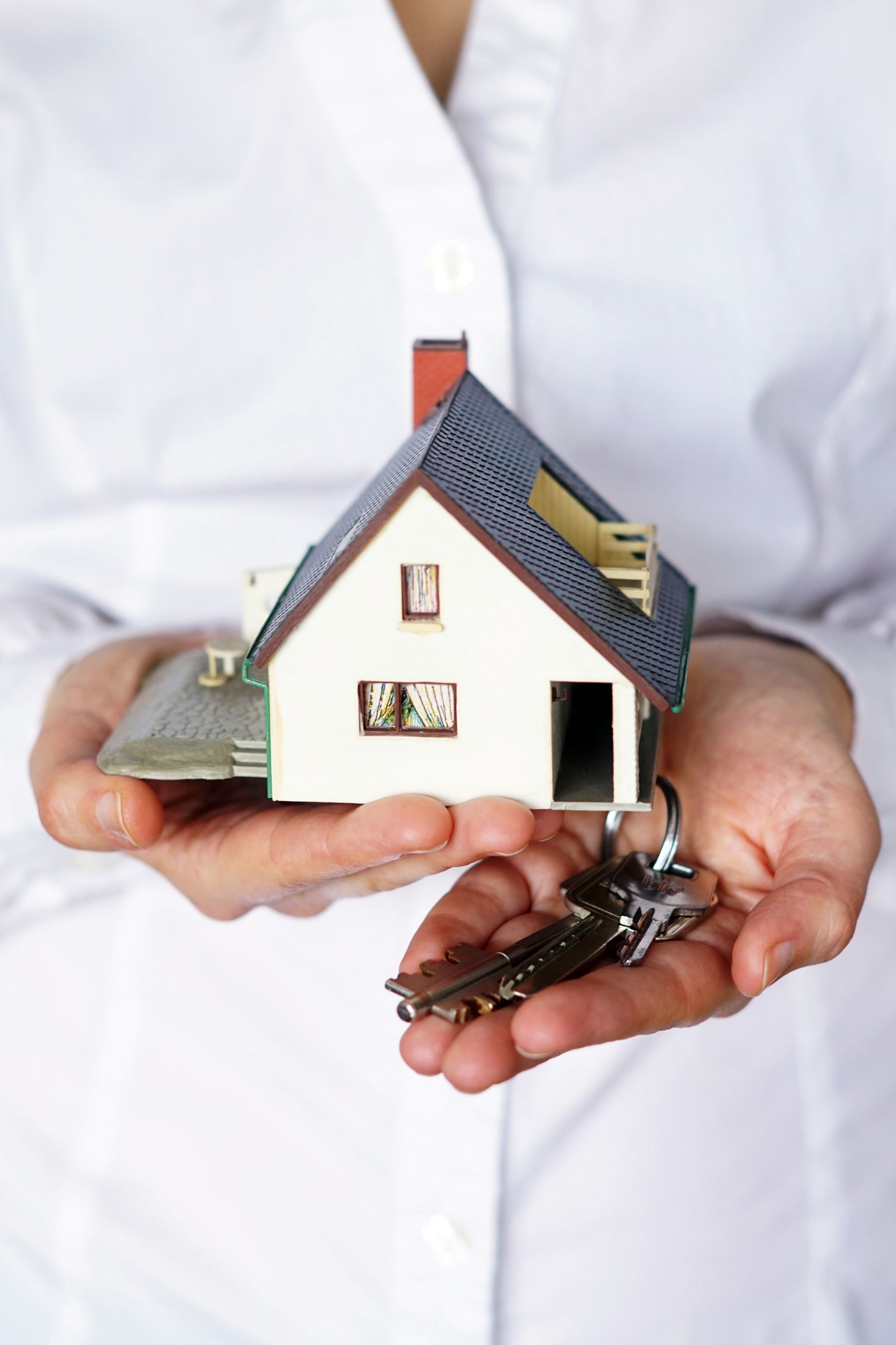 Hound And Key — Licensed Conveyancing Agent in Fannie Bay, NT