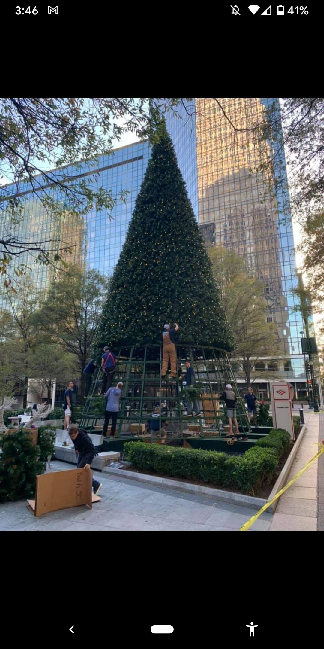 Workers decorate a massive Christmas tree in front of a tall building.