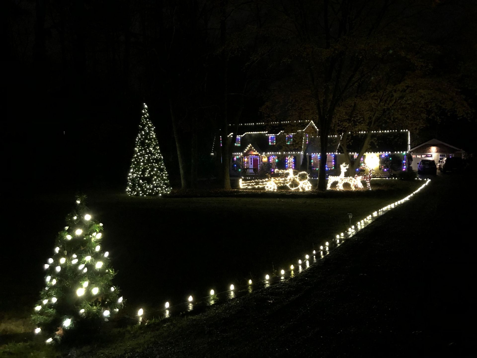 Nighttime scene with a house illuminated by Christmas lights, a lighted path, and a Christmas tree.