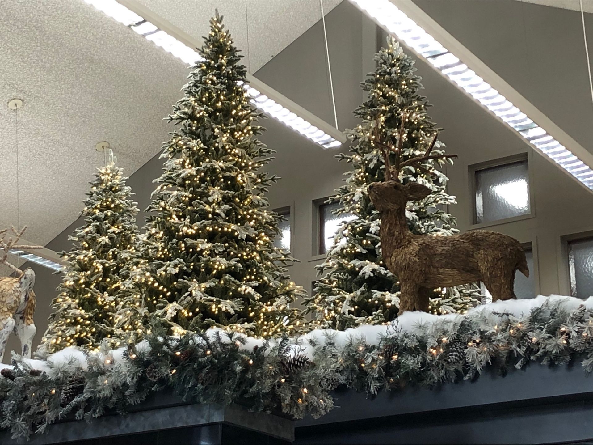 Christmas trees with string lights, faux snow, and a reindeer decoration.