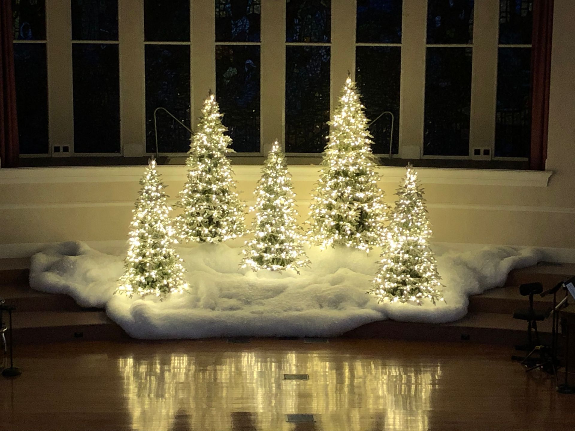 Lit Christmas trees on a stage with fake snow, in front of a window.