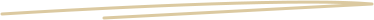 Two parallel light beige lines on a white background.