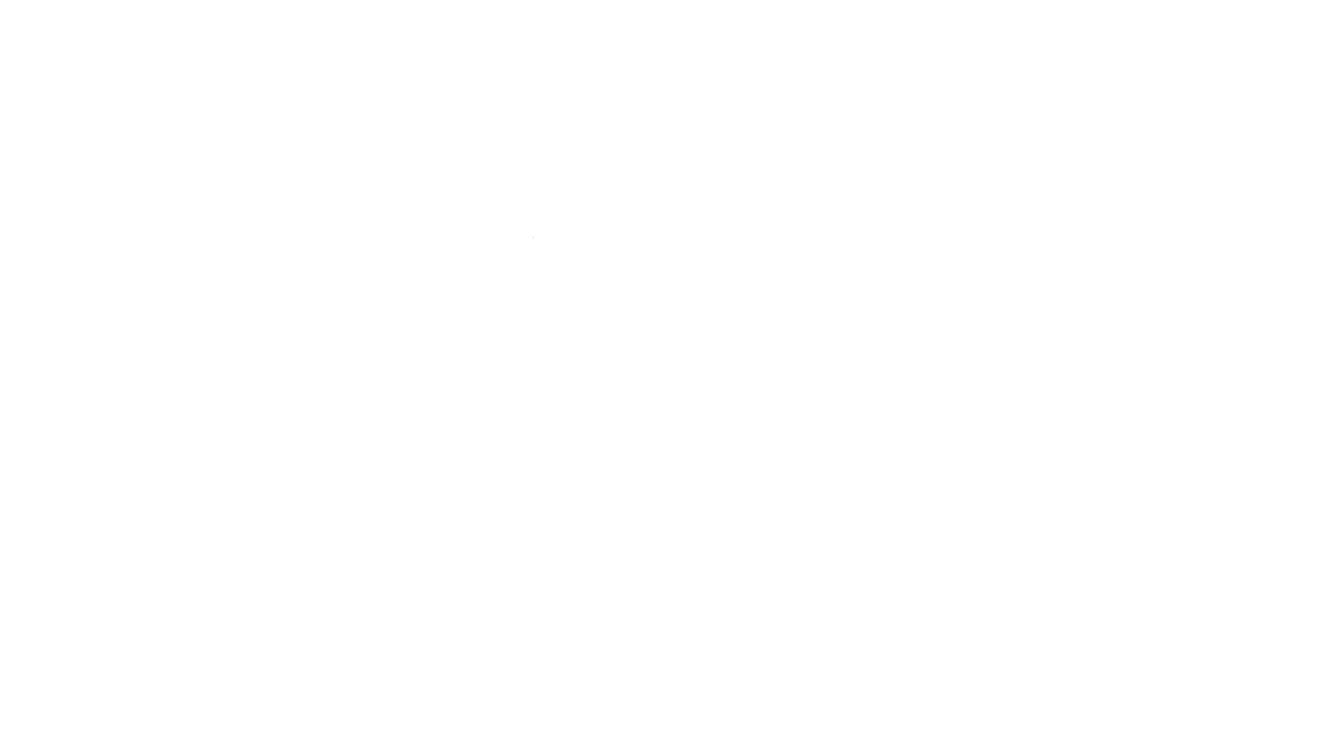 Empty white background.