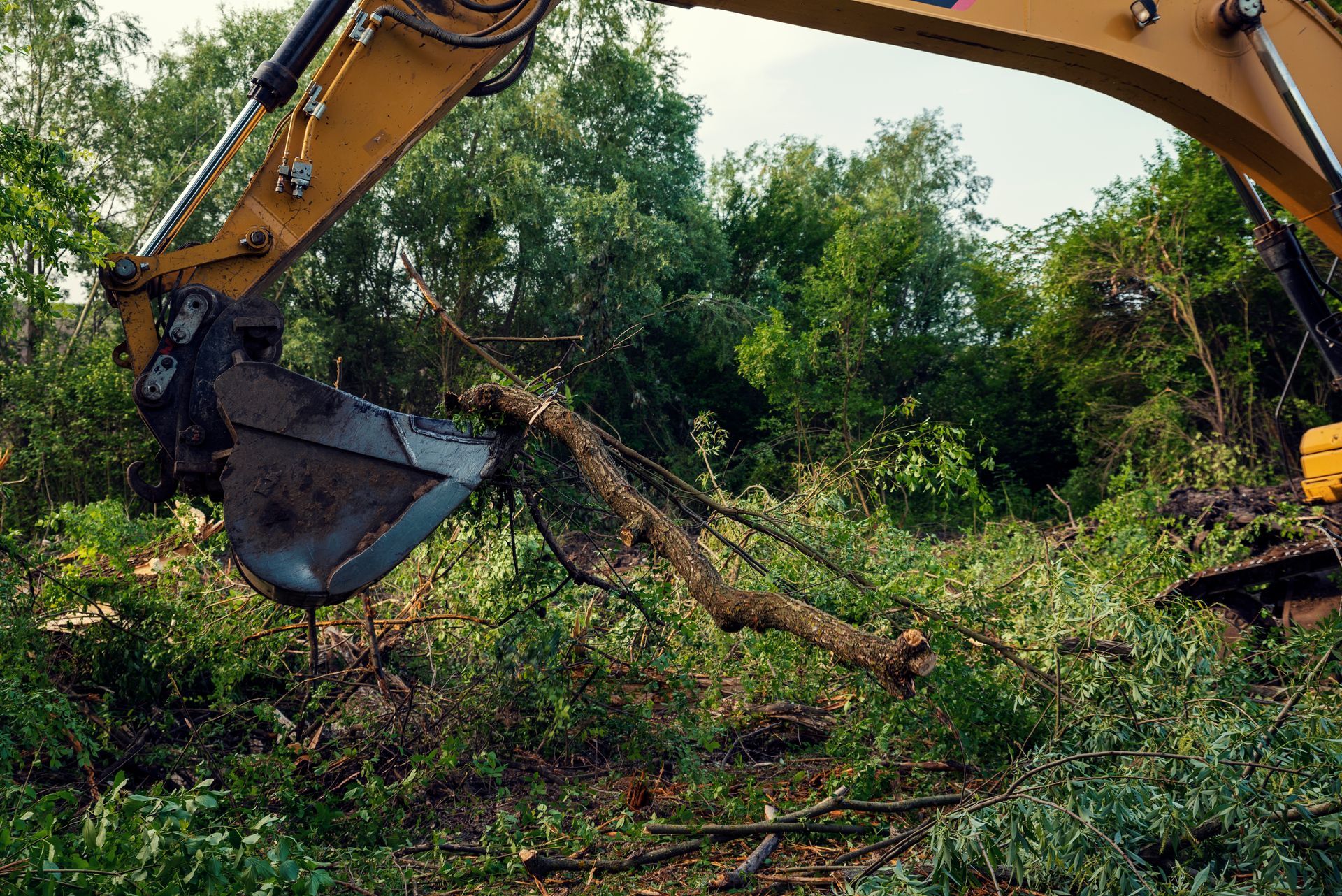 Yellow chain excavators removing vegetation in a forest clearing.