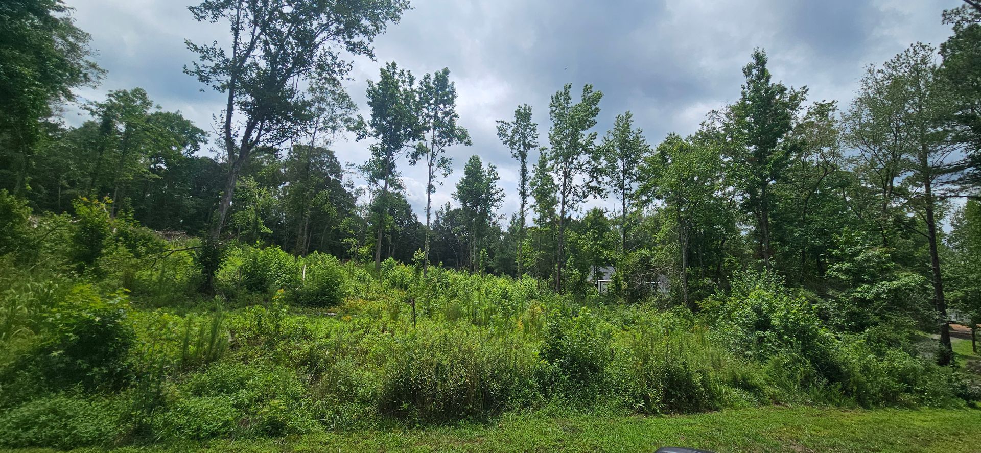 A lush green field surrounded by trees and bushes on a cloudy day.