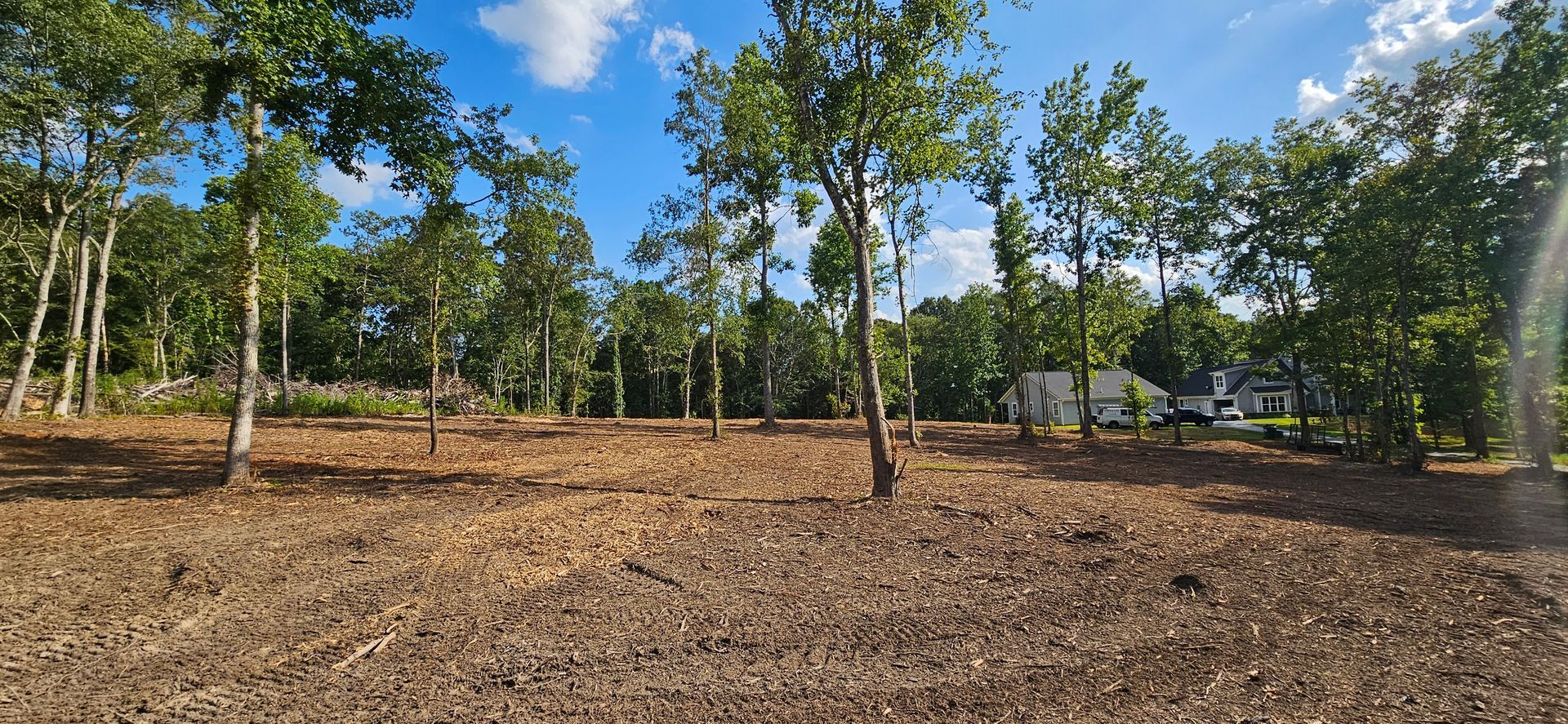 A row of trees in a field with a house in the background.