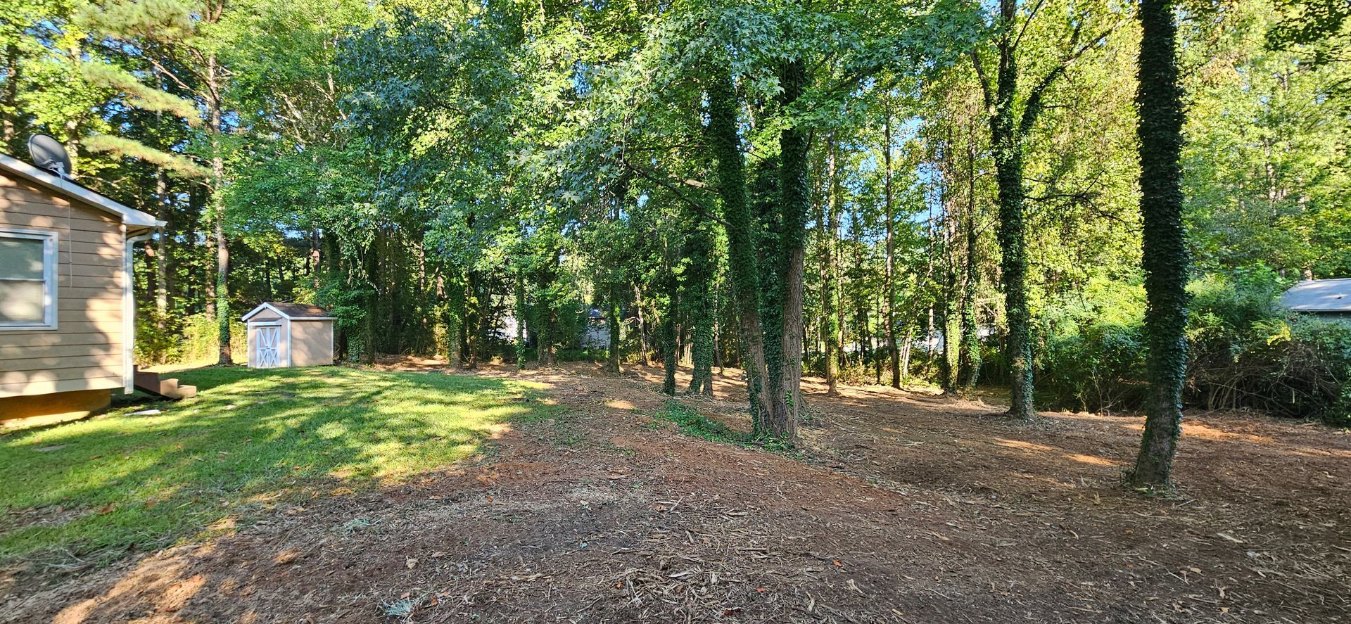 A house in the middle of a forest with a lot of leaves on the ground.