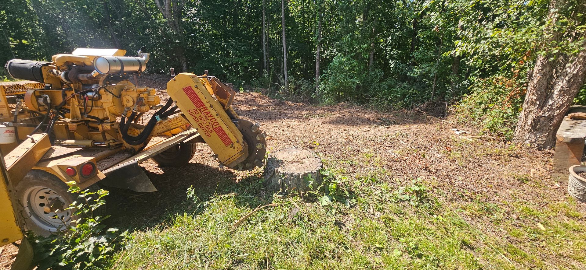 A yellow stump grinder is cutting a tree stump in the woods.