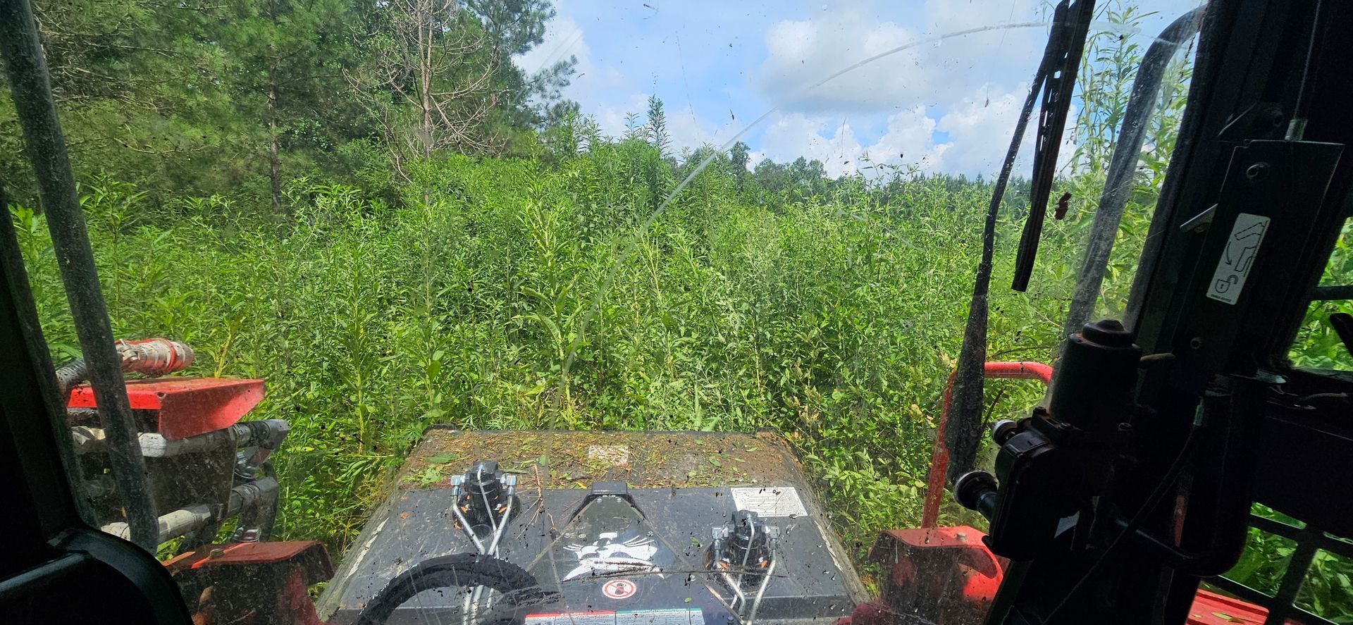 A tractor is driving through a lush green forest.